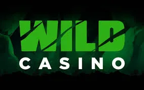 Wild Casino logo